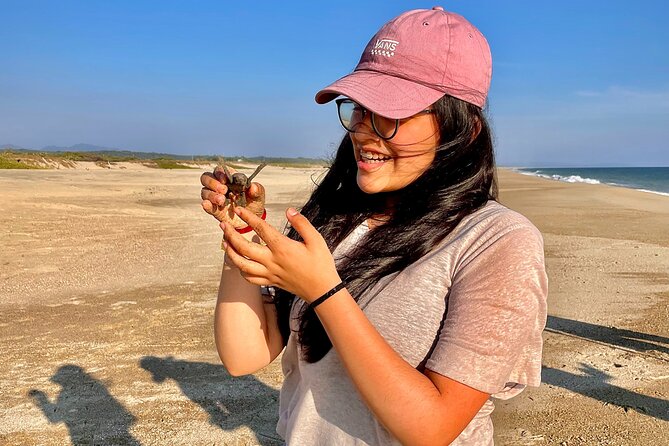 Full Day Tour Turtle Release and Bioluminescence - Bioluminescence Experience