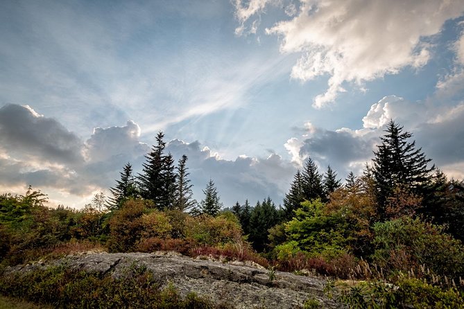 Full-Day Tour With Instruction in Vistas & Waterfall Photography - The Sum Up