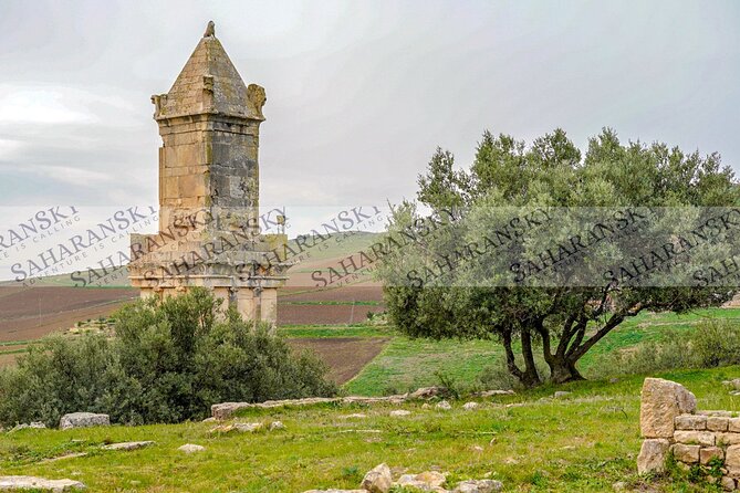 Full Day Uthina and Dougga Tour From Tunis - The Sum Up