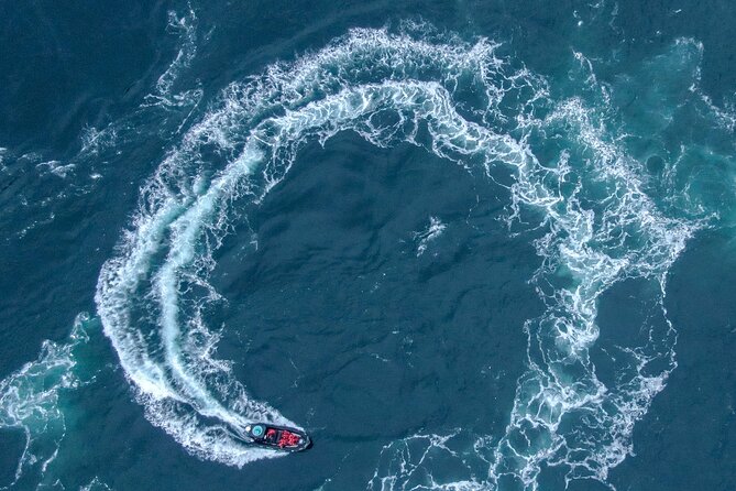 Full Day Whale Watching Campbell River - Pricing and Terms for Full Day Whale Watching Experience