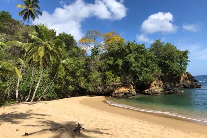 Full Island Tour (Including Lunch & Snorkeling) - Review 3 by Darlene_F