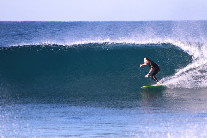 Fun Surf Lesson & Tacos - Pricing and Terms