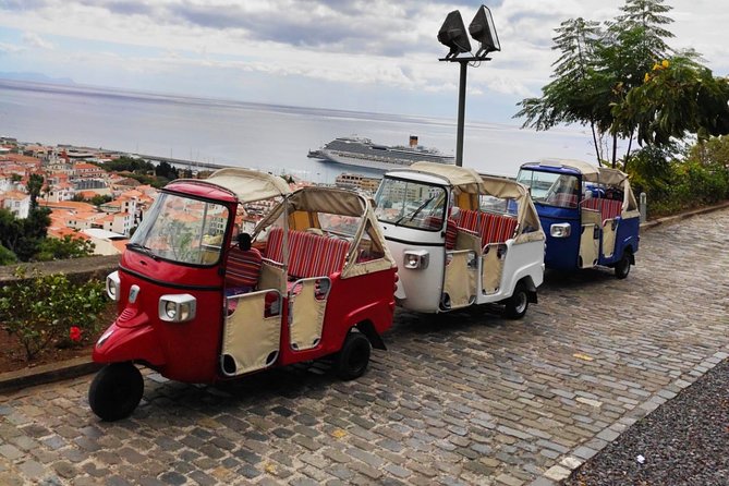 Funchal City Tour - Tips and Recommendations From Travelers