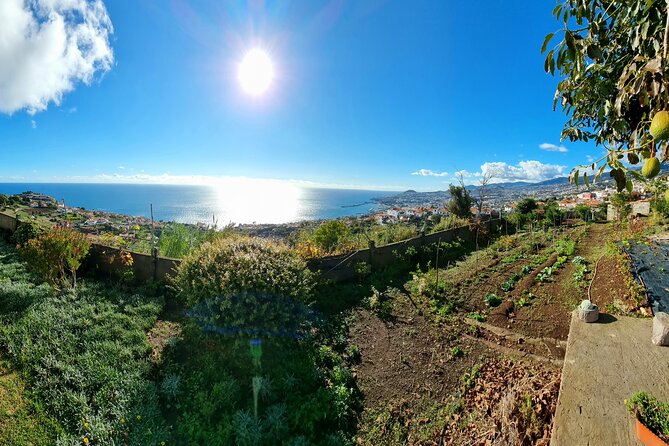 Funchal Private Farm Dinner Experience  - Madeira - The Sum Up