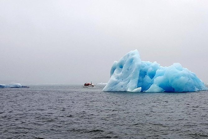 Glacier Lagoon & South Coast. Private Day Tour - Traveler Reviews