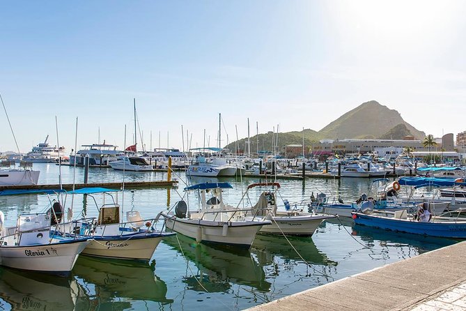 Glass-Bottom Boat Cruise in Cabo San Lucas - Common Questions