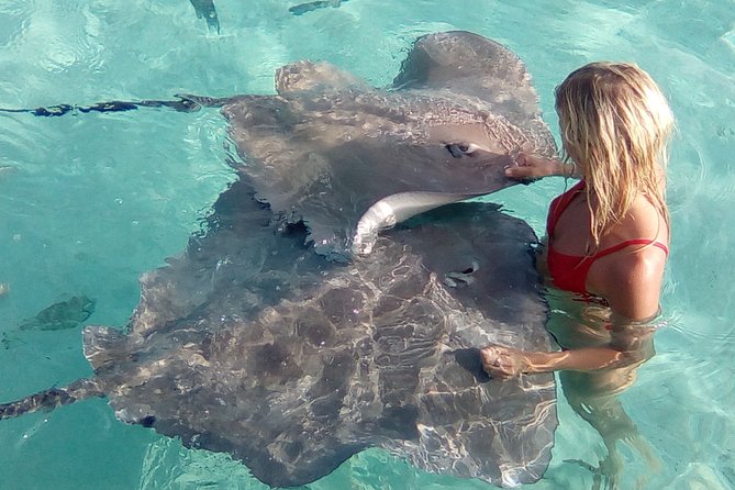 Glass-Bottomed Boat Tour With Lunch and Snorkeling, Moorea - Common Questions