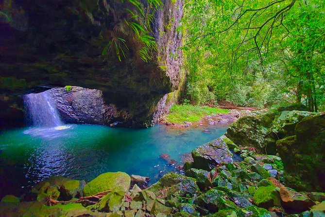 Gold Coast: Natural Arch, Rainforest & Volcano Canyon  - Surfers Paradise - Common Questions