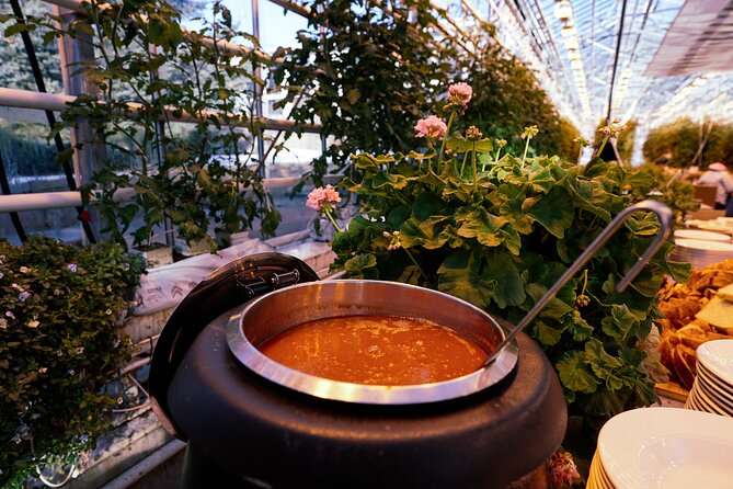 Golden Circle With Tomato Farm Lunch, Secret Lagoon & Tour Photos - Common Questions