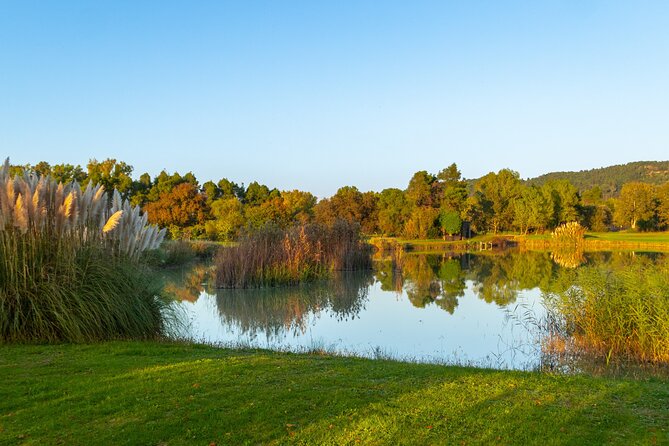 Golf Game Experience With Lunch And Drink - The Sum Up
