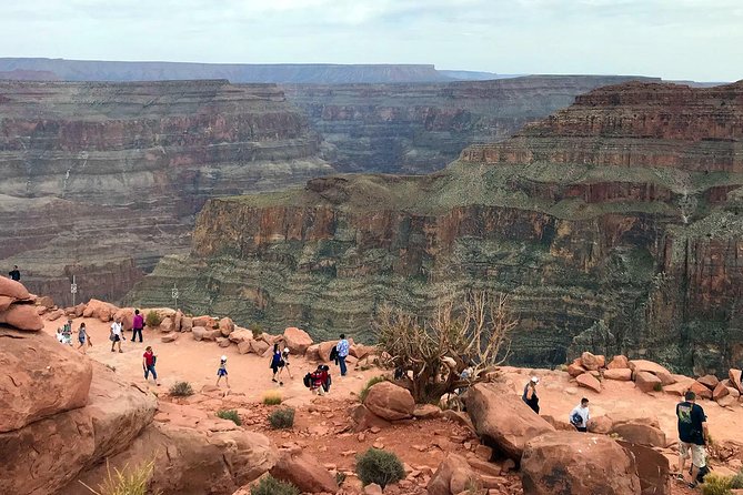 Grand Canyon West Skywalk Western Ranch Joshua Tree Forest SmGrp - Traveler Photos and Reviews