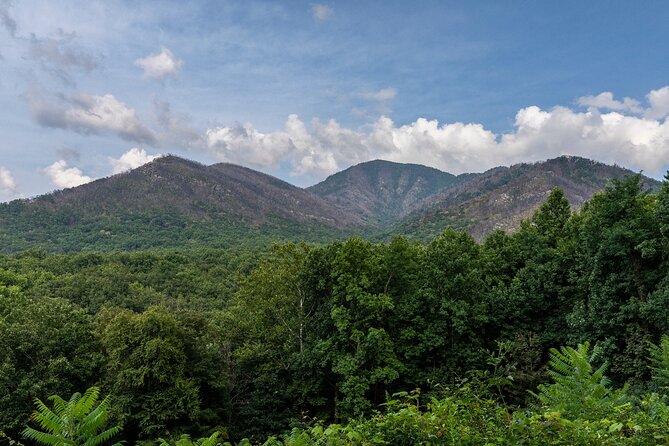 Great Smoky Mountains National Park and Cades Cove Self-Driving Bundle Tours - Common Questions
