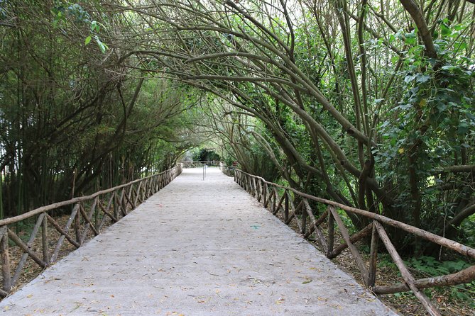 Group Guided Tour of the Archaeological Park of Neapolis - Common Questions