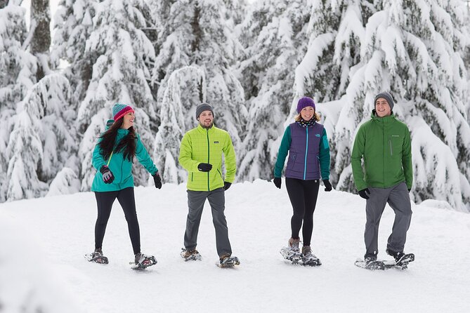 Grouse Mountain Admission Ticket - The Sum Up