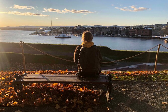 Guided 2.5-Hour Walking Tour in Oslo - Meeting Point