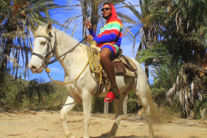 Guided Cabo Horseback Ride With Hotel Pickup  - Cabo San Lucas - Scenic Beauty and Sunset Ride