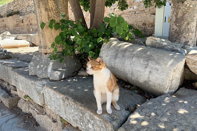 Guided Ephesus Tour From/to Izmir - Common Questions