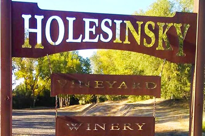 Guided Half-Day Tour Scenic Adventure & Wine Tasting Tour - The Sum Up
