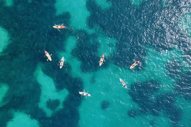 Guided Kayak Day & Sunset Tours in Mallorca North-Kayak Sea Cave - The Sum Up