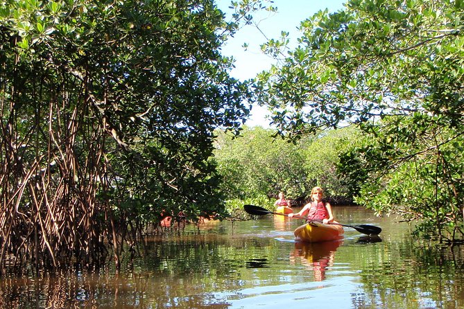 Guided Kayak Eco Tour - Bunche Beach - The Sum Up