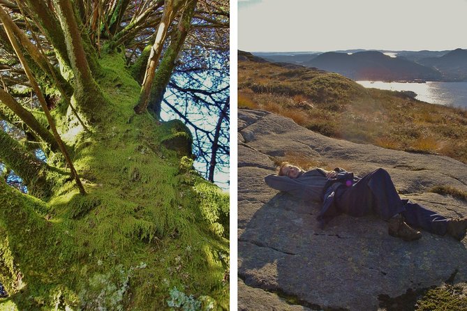 GUIDED TOUR: Hiking to Stoltzekleiven - The Sum Up