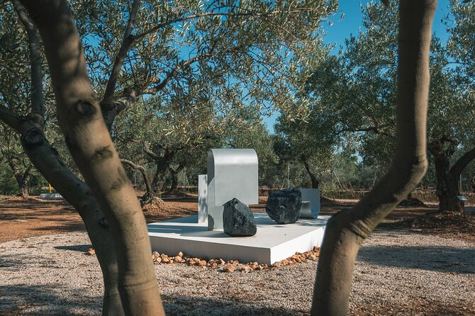 Guided Tour Museum of Contemporary Art and Sculpture Park - Accessibility Information