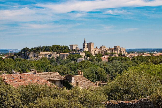 Guided Tour of Avignon - Common Questions