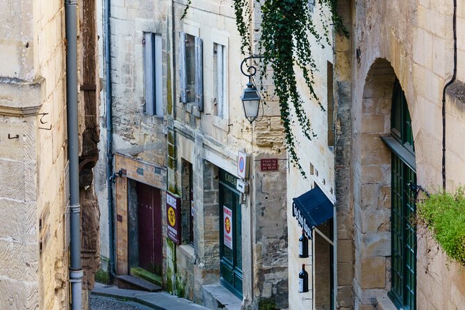 Guided Vineyard Tour With Wine Tasting in Saint-Émilion - Contact Information for Assistance
