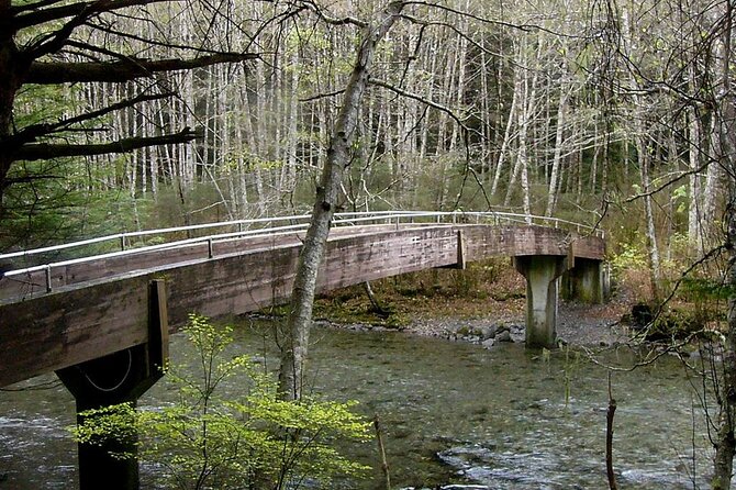 Guided Walking Tour in Totem Park NATIONAL PARK - Perform Checks on Reviews