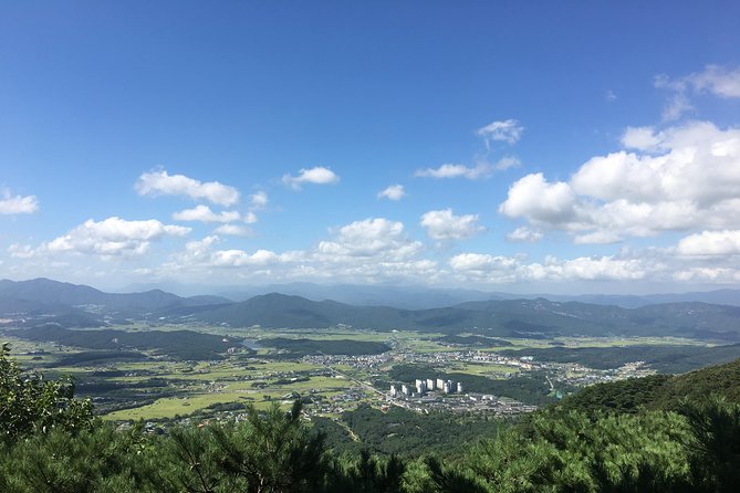 Gyeongju UNESCO World Heritage Tour Including Bulguksa From Seoul by KTX Train - Common Questions