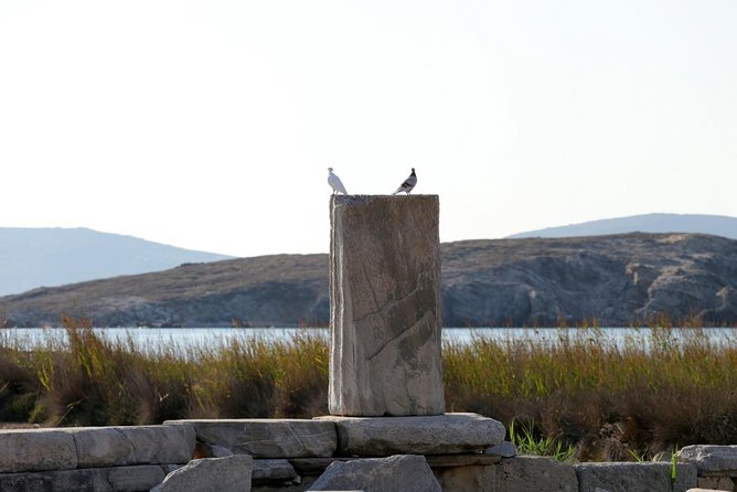 Half-Day Delos Tour From Mykonos - Tips for a Memorable Experience