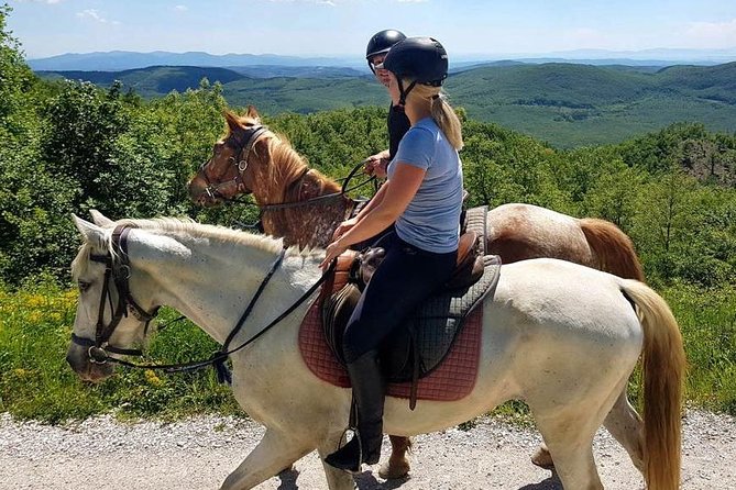 Half-Day Horseback Ride in Tuscany for Beginner Riders - What to Expect During the Tour