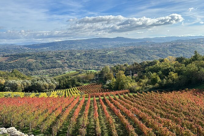 Half-Day Irpinia Wine Tour From Salerno - Traveler Reviews and Ratings