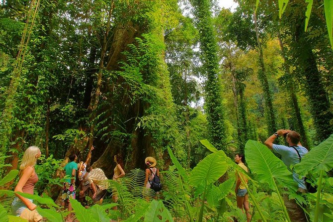 Half-Day Jungle Tour Including Crystal Pool and Krabi Hot Springs - Cancellation and Refund Policy