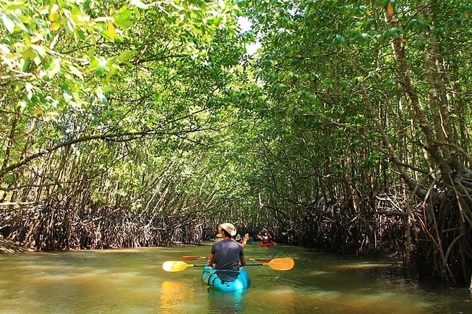 Half Day Mangrove Forest Kayaking Tour From Koh Lanta - Common Questions