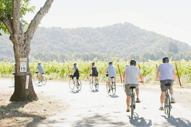 Half-Day Napa Valley E-Bike Tour - The Sum Up