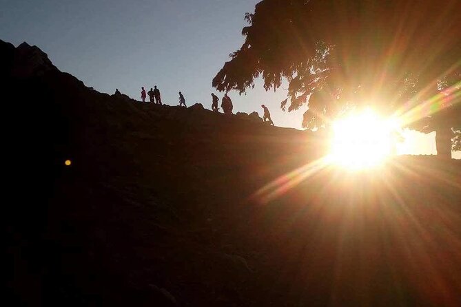 Half Day Premium Sunset Safari Tour in Northwest Corfu - Booking and Contact Information