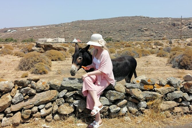 Half-Day Private Guided Tour in Mykonos up to 6 - Pricing and Additional Information