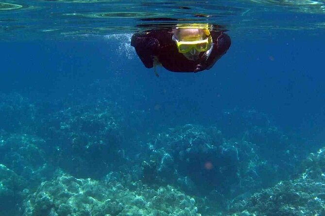 Half Day Snorkeling Experience in Kos Greece - The Sum Up