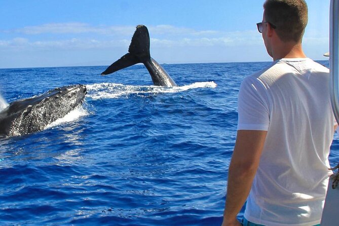 Half-Day Snorkeling Experience in Los Cabos, Open Bar & Snacks - The Sum Up