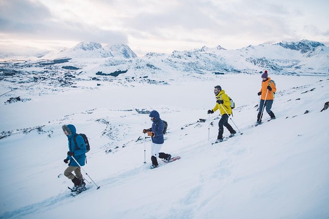 Half Day Snowshoe Tour - Common Questions