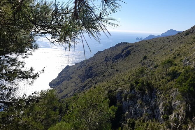 Half-Day Sorrento Private Tour by Vespa - Common Questions