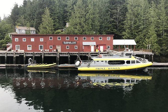 Half-Day Whale Watching Adventure From Telegraph Cove - Common Questions