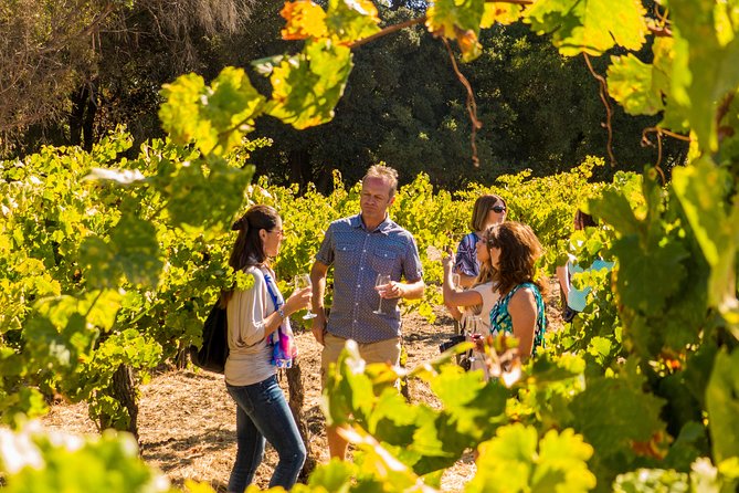 Half-Day Wine Country Tour - Common Questions