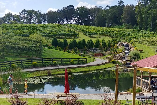 Half-Day Wine Tastings in the North Georgia Mountains - Ott Farms and Vineyard