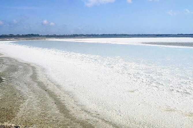 Happy Tour Camargue an Immersion by Bike and Scooter E - Customer Support and Contact Information