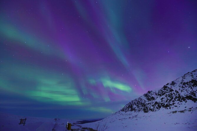 Heated and Enclosed Snow ATV Tour in Alaska Open All Year Round - Important Information