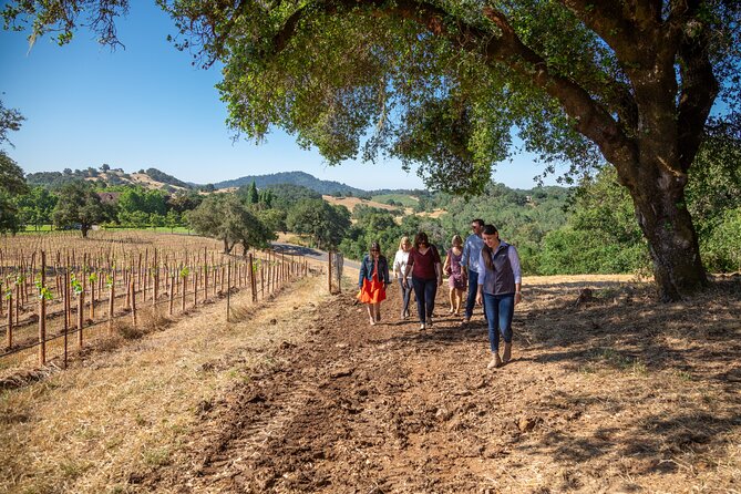 Heraklio Half Day Small Group Olive Oil & Wine Tour With Tastings - Common Questions