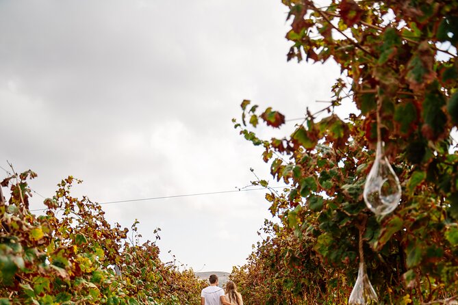 Heraklion Private Half-Day Gastronomy Diaries Experience in Lyrarakis Winery - Common Questions