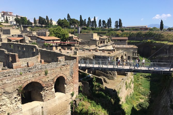 Herculaneum Private Walking Guided Tour 2 Hours - Ticket Information